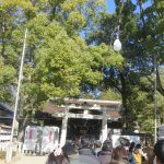 武田神社の初詣してきました～！三箇日以外の混雑状況は？駐車場や屋台も！